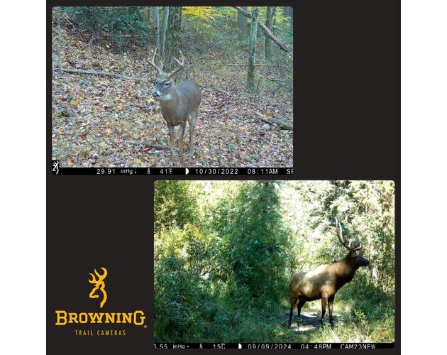 Browning Spec Ops Elite HP5 ULTRA Fotopasca, image-7