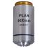 Levenhuk MED 60x Infinity Plan Achromatic Objective