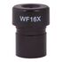 Levenhuk Rainbow 50L WF16x Eyepiece