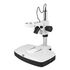 Stereo mikroskop Motic SMZ-168-BLED so zoomom, bino, 7,5x-50x, image-4
