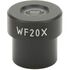 Mikroskop Optica B-157, binocular, 600X, LED, image-8