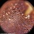 Mikroskop Levenhuk Rainbow 50L PLUS Amethyst, Farba: Amethyst, image-26