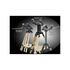 TeleVue Mount Gibraltar HD4 Alt-AZ, image-3