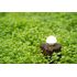 LED lampášik Olight Obulb 55 lm - Basalt Grey  , image-3
