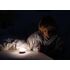 LED lampášik Olight Obulb 55 lm - Basalt Grey  , image-11