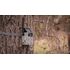 Bezpečnostný box pre fotopascu SPYPOINT LINK-MICRO S, LM2, LINK-MICRO - camo  , image-9