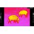 Termovízny zameriavač ATN Mars-LTV 25 mm, 640x480px, 2-6x, image-9