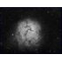 Celestron 800 EdgeHD - Schmidt-Cassegrain, image-2