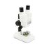 Labs S20 Stereolupe, image-2
