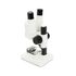 Labs S20 Stereolupe, image-3