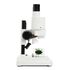 Labs S20 Stereolupe, image-8