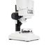 Labs S20 Stereolupe, image-9