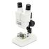 Labs S20 Stereolupe, image-11