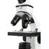 Labs CM800 Mikroskop, image-7