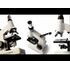 Celestron DMK - Digitales biologisches Mikroskop, image-9
