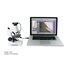 Celestron DMK - Digitales biologisches Mikroskop, image-4