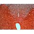 Levenhuk N20 NG Prepared Slides Set, image-8