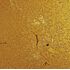 Meade LPI-GC Lunar Planetary Imager and Guider Color, image-4