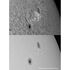 Meade LPI-G Advanced Camera Color, image-5