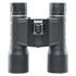 Bushnell Fernglas Legend 8x42 Dachkant, schwarz, FMC, image-2