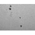 Herschel hranol LUNT LS1.25HW 31,7 mm (1,25"), image-3