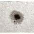 Herschel hranol LUNT LS1.25HW 31,7 mm (1,25"), image-7