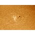 H-alfa filter LUNT LS100FHa/B600d2, image-3