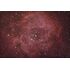 EXPLORE SCIENTIFIC MN-152 David H. Levy Kometenjäger - Maksutov-Newton, image-6