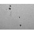 Herschel klin LUNT LS2HW 50,8 mm (2"), image-3