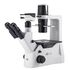 Motic Inverzný mikroskop AE2000, trinokulárny, infinity, 40×–400×, fázový kontrast, halogén 30W, image-6