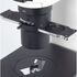 Motic Inverzný mikroskop AE31E, binokulárny, infinity, 40×–400×, fázový kontrast, halogén 30W, image-3