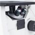 Motic Inverzný mikroskop AE31E, trinokulárny, infinity, CCIS Plan 4× LWD, Ph10×/20×/40×, halogén 100W, image-3