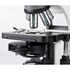 Motic Mikroskop BA310 PH, binokulárny, infinity, EC-plan achromatický, 40×–1000×, LED 3W, image-2