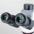 Motic Mikroskop Panthera C2, trinokulárny (bez 100× objektívu), infinity, plan achromatický, 40×–400×, halogén/LED, image-4