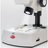 Motic Zoom-stereomikroskop SMZ-160-BLED, binokulárny, LED, 0,75×–4,5×, image-2