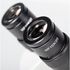 Motic Zoom-stereomikroskop SMZ-160-BP, binokulárny, 7,5×–45×, image-3