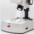 Motic Zoom-stereomikroskop SMZ-160-TLED, binokulárny, LED, 0,75×–4,5×, image-3