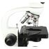 Omegon Mikroskop BioMon, 40×–1000×, LED, image-10