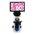Optika Mikroskop B-190TBPL+, digitálny, 5 MP, USB, 30 fps, 40×–1000×, PLAN, image-6