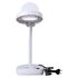 Lupa-lampa Levenhuk Zeno Lamp ZL3 LUM, image-2