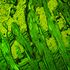 MAGUS Lum 450L Fluorescenčný mikroskop, image-20