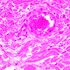 MAGUS Bio 290T Biologický mikroskop, image-23
