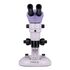 MAGUS Stereo A10 Stereomikroskop, image-6