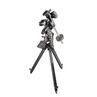 Losmandy Mount GM811G Gemini 2 GoTo HD-Tripod, image-12