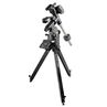 Losmandy Mount GM8G Gemini 2 GoTo LW-Tripod