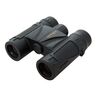 Omegon Fernglas Geovid Pro SE 10x42