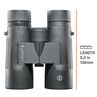 Bushnell Fernglas 8x32 Lightwing-HR, image-9