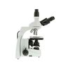 Euromex Mikroskop iScope IS.1153-EPL, trinokulárny, image-2
