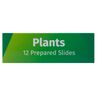 Sada hotových rastlinných preparátov Levenhuk LabZZ P12, rastliny, image-8